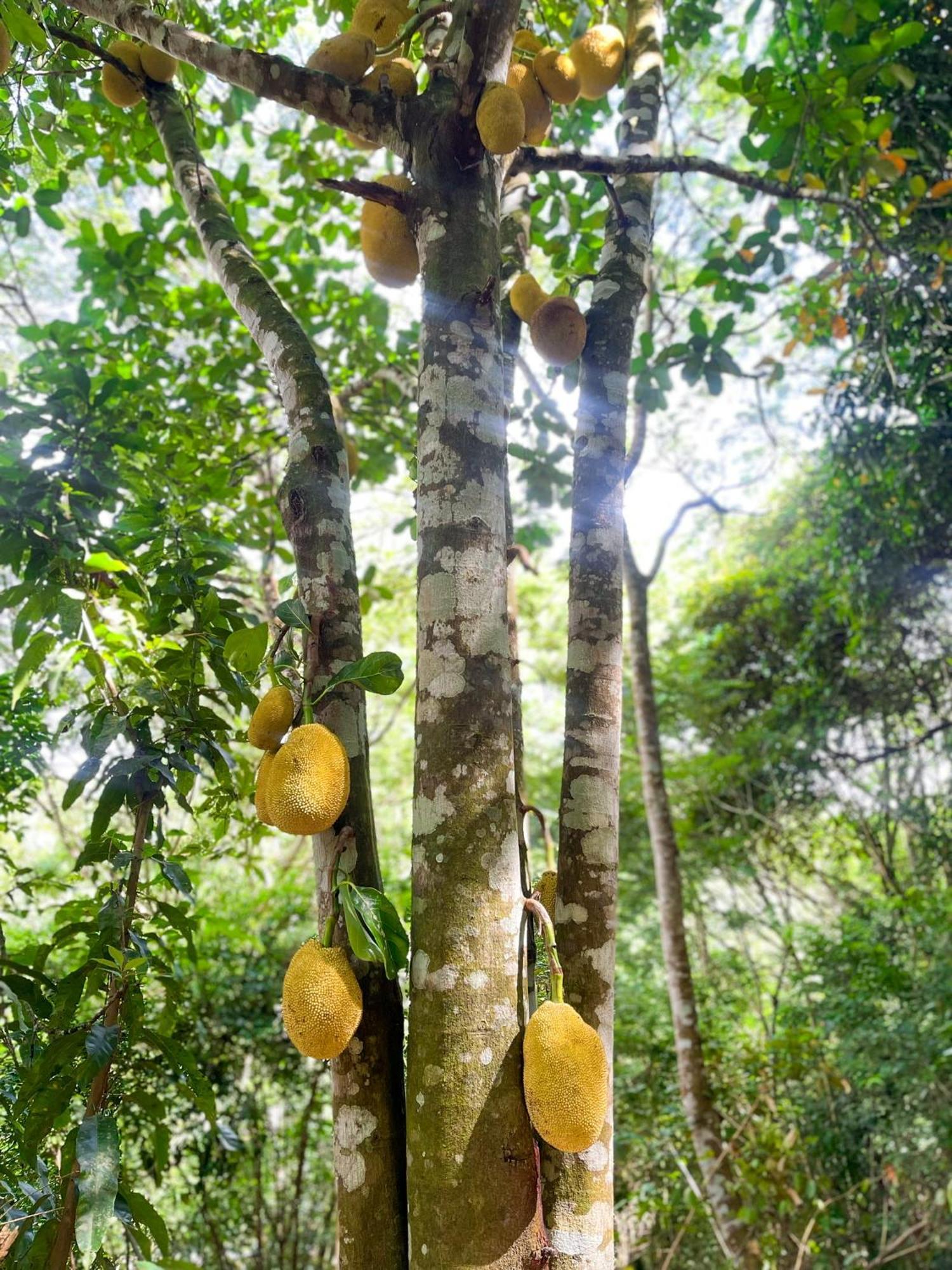 Olho D'Agua Pousada Guaramiranga Luaran gambar